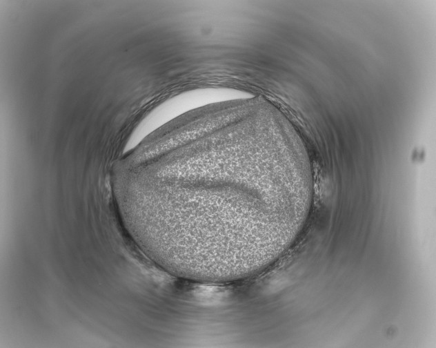 X0000093760319200711131154