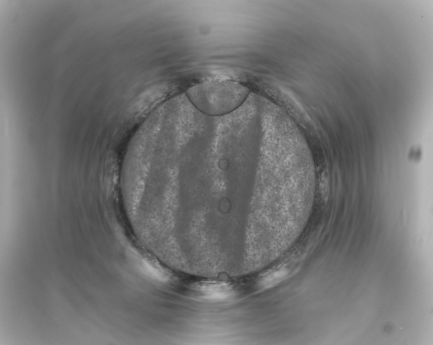 X0000093760322200711131154