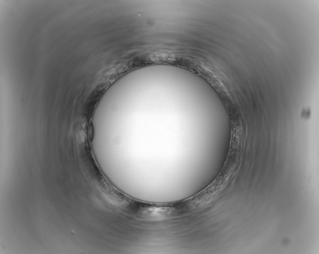 X0000093760323200711131154