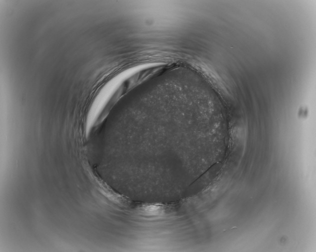 X0000093760325200711131154