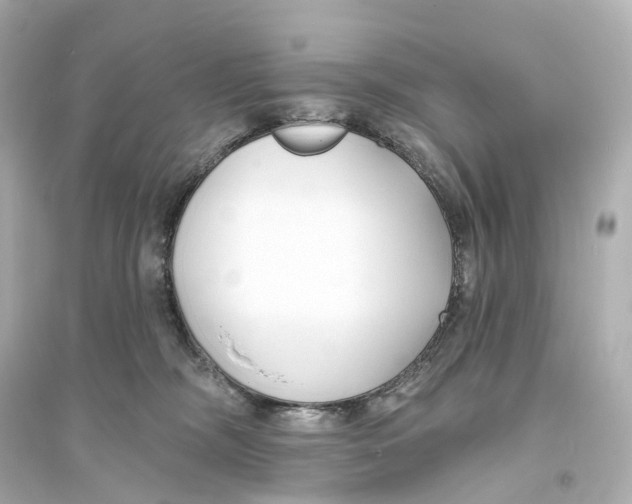 X0000093760326200711131154