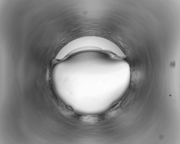 X0000093760331200711131154