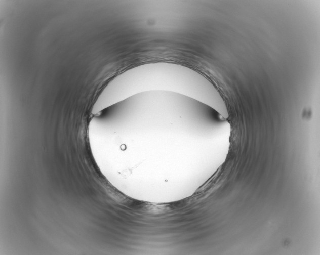 X0000093760333200711131154