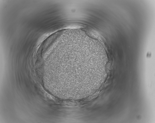 X0000093760337200711131153