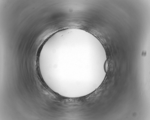 X0000093760338200711131153