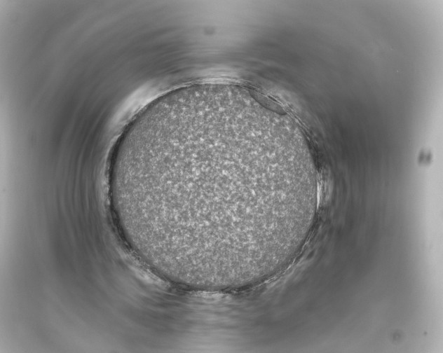 X0000093760339200711131153