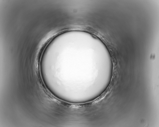 X0000093760343200711131153