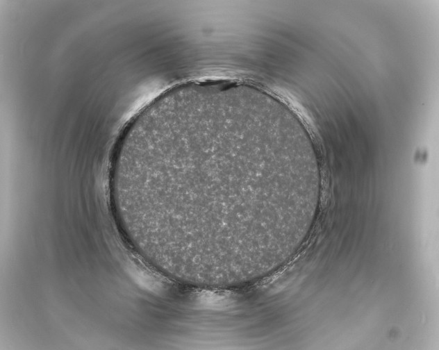 X0000093760346200711131153