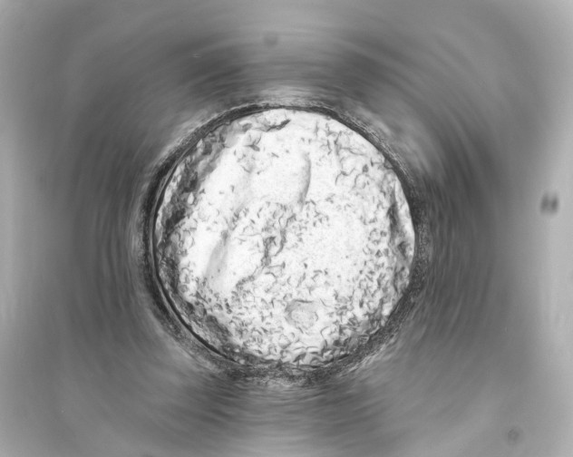 X0000093760347200711131153