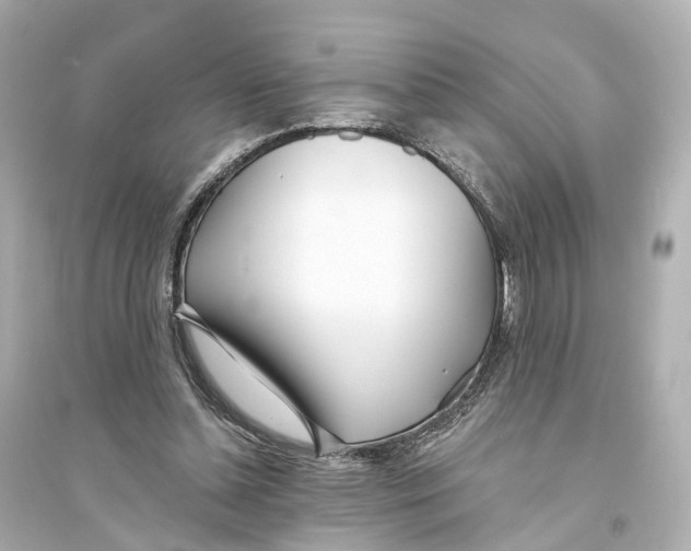 X0000093760348200711131153