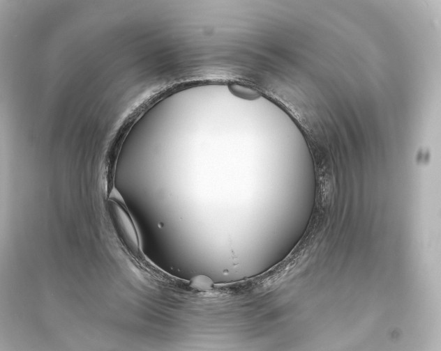 X0000093760350200711131153