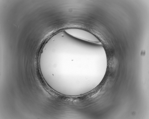 X0000093760352200711131153