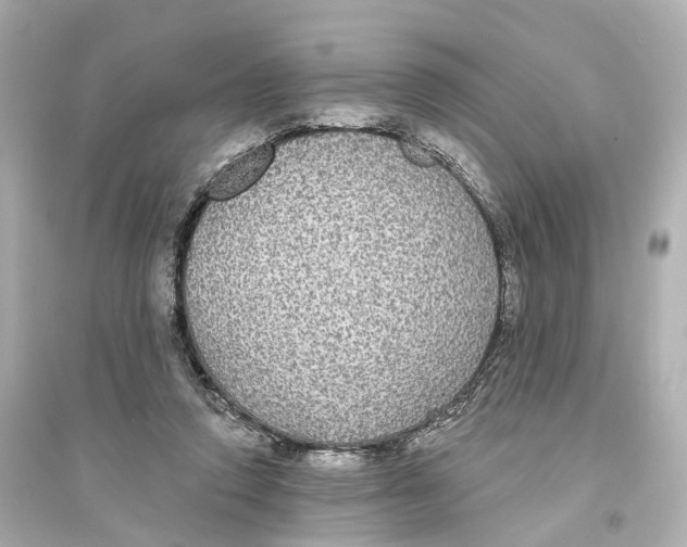 X0000093760354200711131153