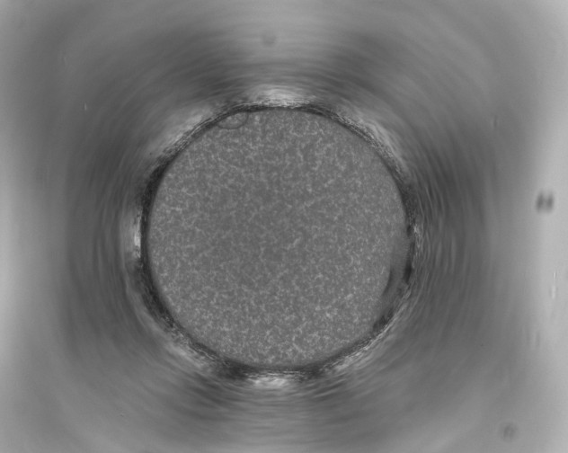 X0000093760358200711131154