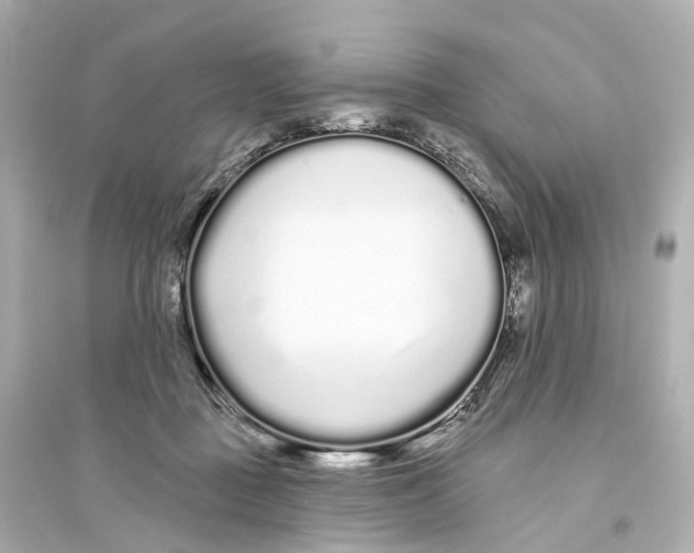 X0000093760363200711131154