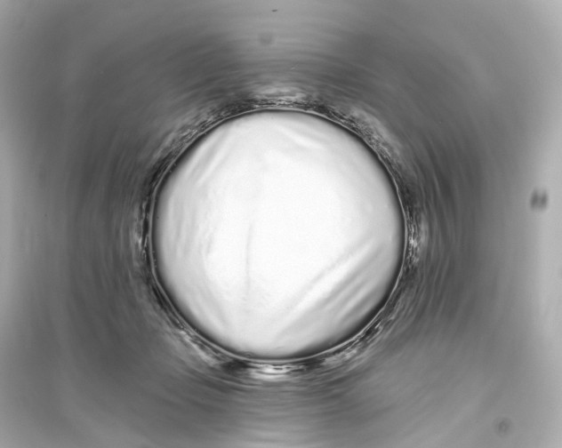 X0000093760365200711131154