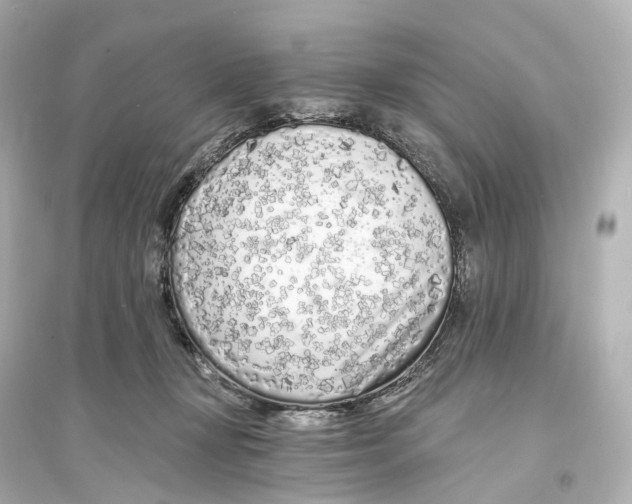 X0000093760367200711131154