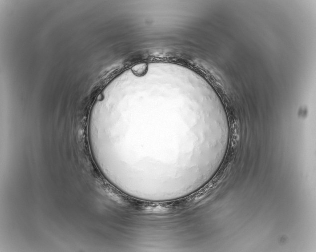 X0000093760369200711131154