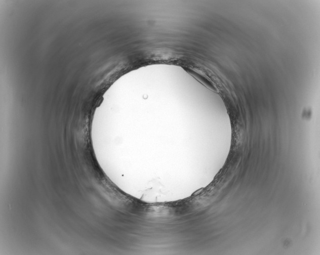 X0000093760376200711131154