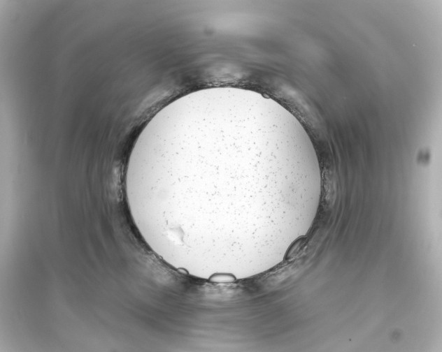 X0000093760378200711131154