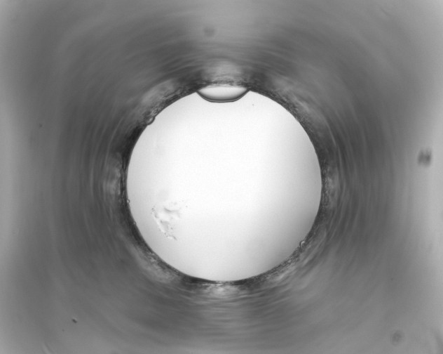 X0000093760379200711131154