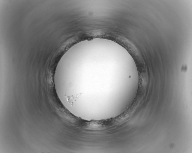 X0000093760380200711131154