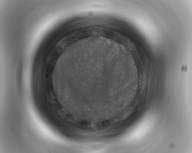 X0000093760383200711131154