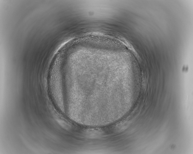 X0000093760386200711131153