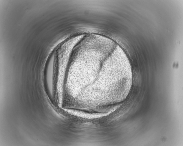 X0000093760390200711131153