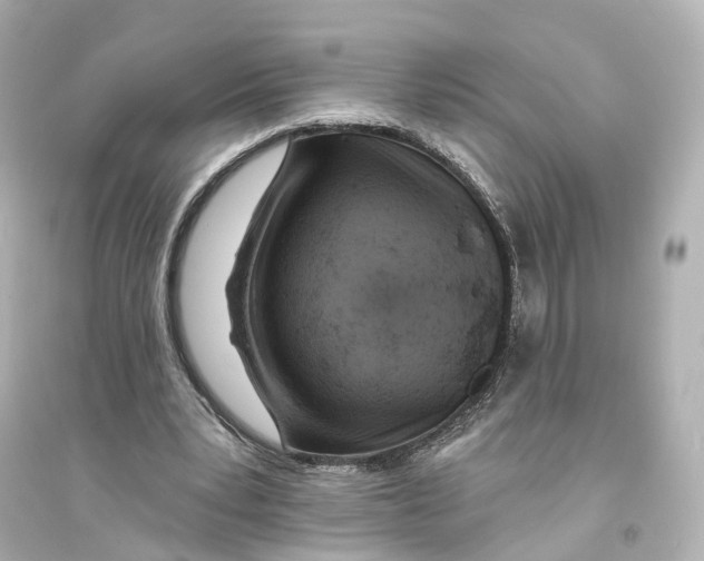 X0000093760391200711131153