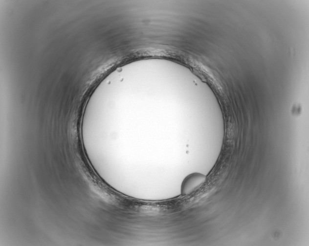 X0000093760394200711131153