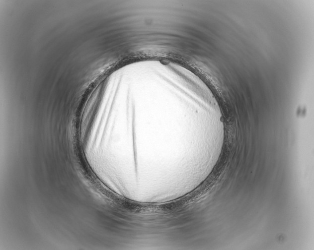 X0000093760398200711131153