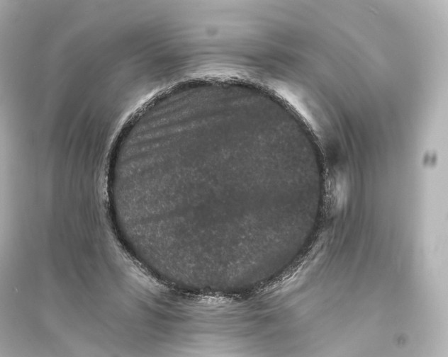 X0000093760399200711131153