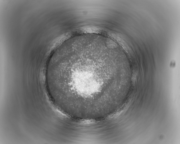 X0000093760402200711131153