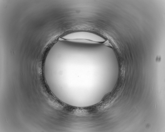 X0000093760403200711131153