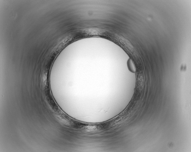 X0000093760406200711131153