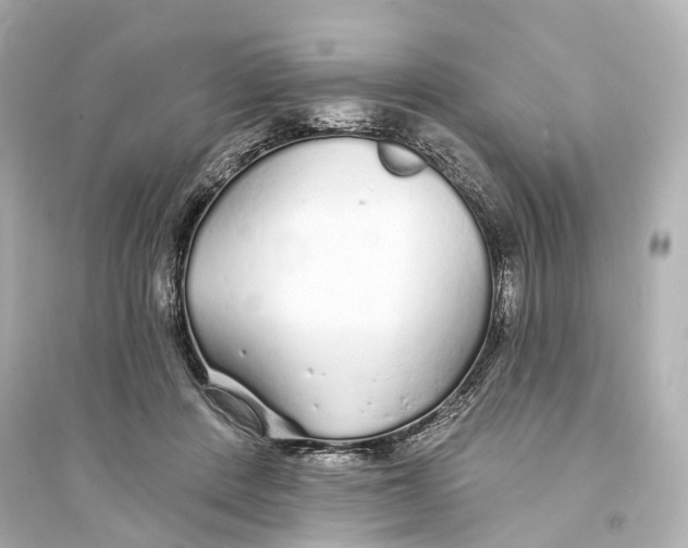 X0000093760408200711131153