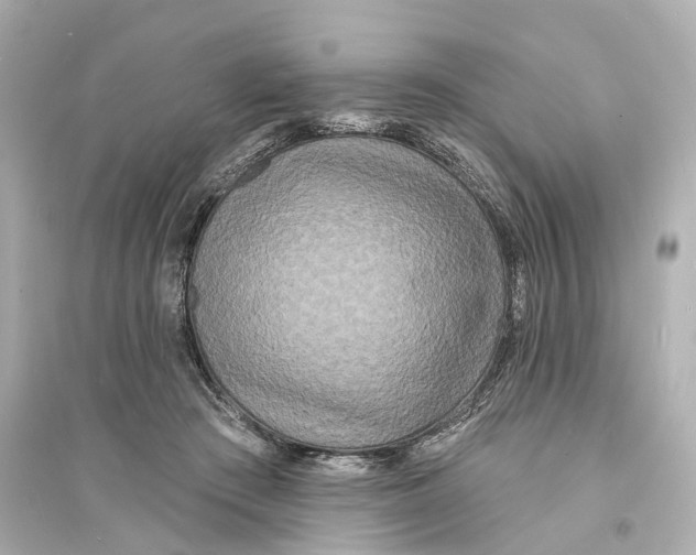 X0000093760409200711131153