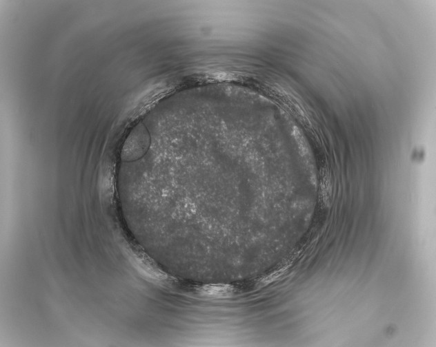 X0000093760410200711131153