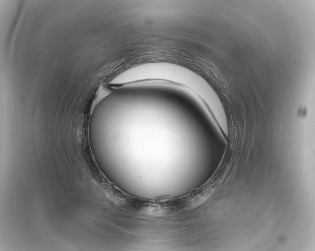 X0000093760416200711131153