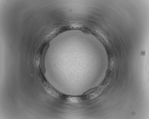 X0000093760417200711131153