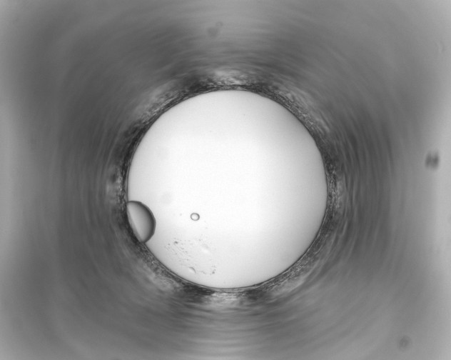 X0000093760418200711131153