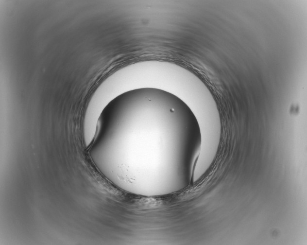 X0000093760421200711131153