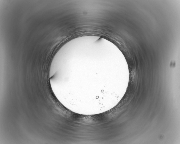 X0000093760423200711131153