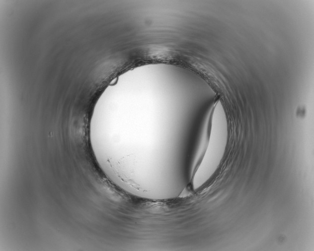 X0000093760424200711131153