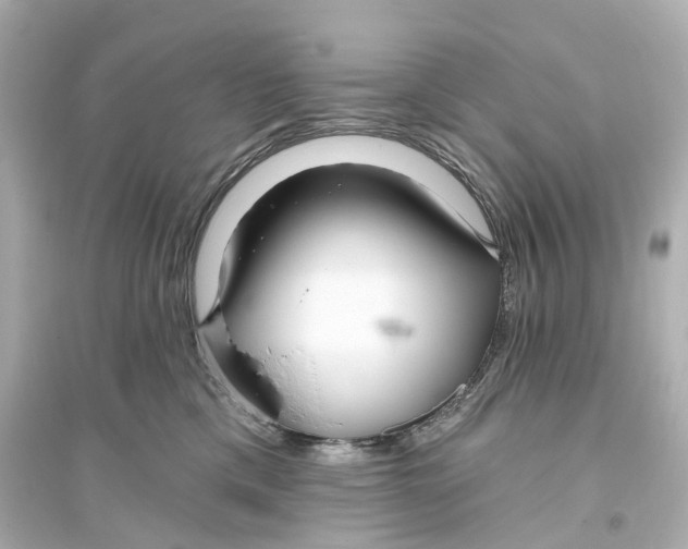 X0000093760425200711131153