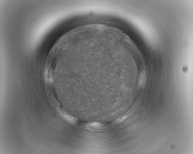 X0000093760431200711131153