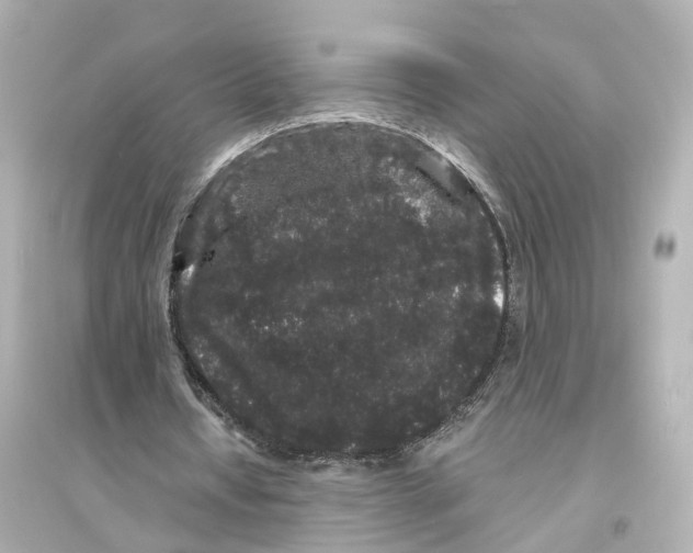 X0000093760434200711131152