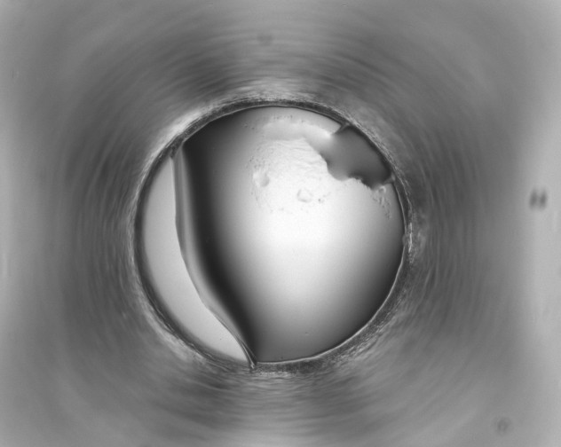 X0000093760438200711131152