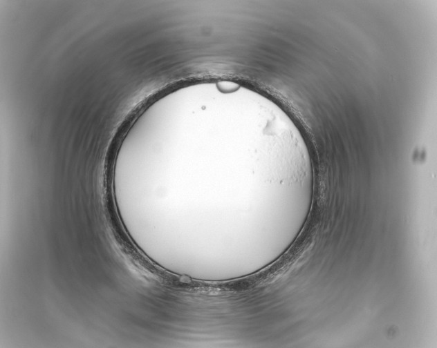 X0000093760439200711131152